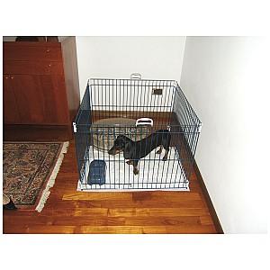 Cusca pentru caini Ferplast Dog Training