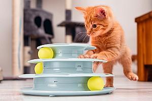 Jucarie pentru pisica Beeztees Play Tower KITTEN FUN Mint