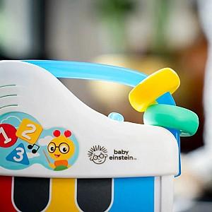 Jucarie muzicala Baby Einstein Petit Piano 13093