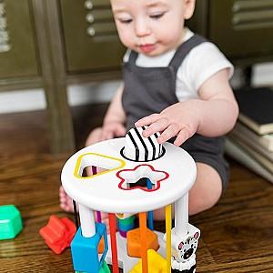 Sortator Baby Einstein Zen&Cal's Playground