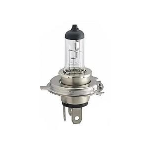 Lampa auto Philips H7 80W