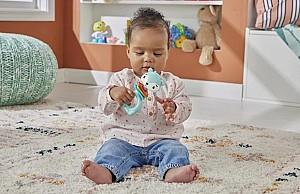 Jucarie bebelus Fisher  price HJW11