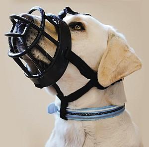 Botnita Beeztees TPR Black size 5(765404)