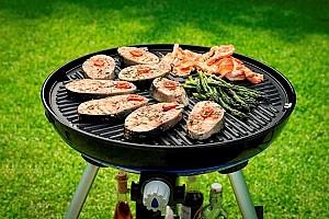  Cadac Carri Chef 2 BBQ Grid
