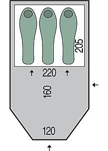 Cort Pinguin Horizon Green