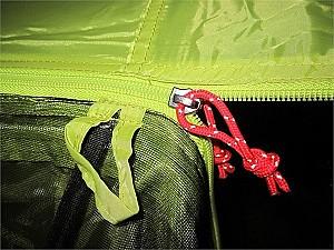 Cort Pinguin Campus 3 Green