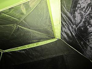 Cort Pinguin Campus 4 Green