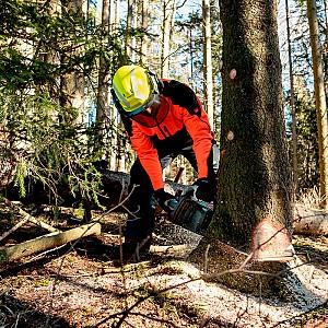 Fierastrau electric cu lant METABO MS 36-18 LTX BL 40 (601613850)