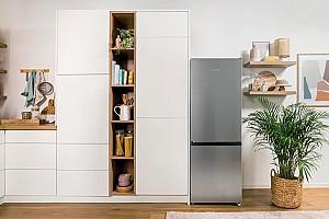Frigider Gorenje RK14EPS4