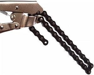 Cleste HOTECHE 110901