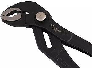 Cleste HOTECHE 100423