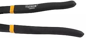 Cleste HOTECHE 100423