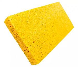 Drisca BIHUI CFCSP11