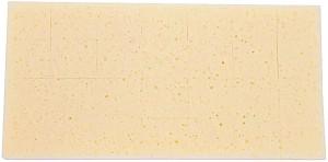 Drisca BIHUI CFHSS11