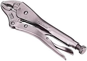 Cleste HOTECHE 110203