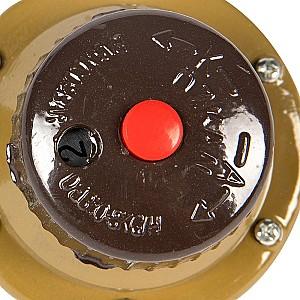Reductor de gaz Micul Fermier GF-0317