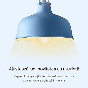 Iluminare inteligenta Tp-Link Tapo L510E