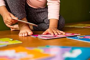 Puzzle Far Far Land Marine Animals 251100