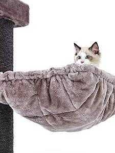 Ansamblu pentru pisici PETREBELS Turnpike 190 Cappuccino