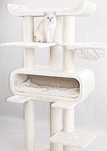 Ansamblu pentru pisici PETREBELS Rout 180 Cream