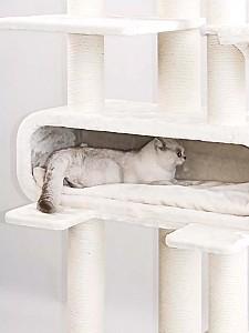 Ansamblu pentru pisici PETREBELS Rout 180 Cream