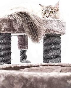 Ansamblu pentru pisici PETREBELS Scenic View 175 Cappuccino