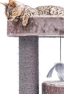 Ansamblu pentru pisici PETREBELS Kings&Queens Charlotte 180 Cappuccino