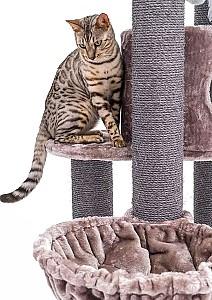 Ansamblu pentru pisici PETREBELS Kings&Queens Charlotte 180 Cappuccino