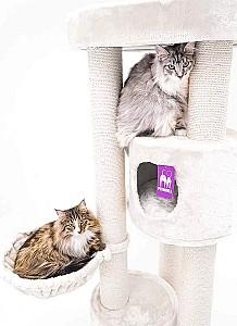 Ansamblu pentru pisici PETREBELS Kings&Queens Charlotte 180 Cream