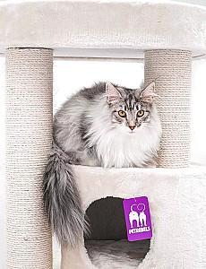 Ansamblu pentru pisici PETREBELS Kings&Queens Charlotte 180 Cream