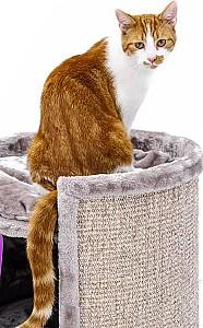 Ansamblu pentru pisici PETREBELS Champions Only Superdome 100 Cappuccino