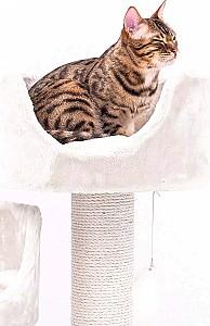 Ansamblu pentru pisici PETREBELS Kings&Queens Victoria 125 Cream