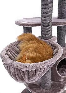 Ansamblu pentru pisici PETREBELS Kings&Queens Charlotte 134 Cappuccino