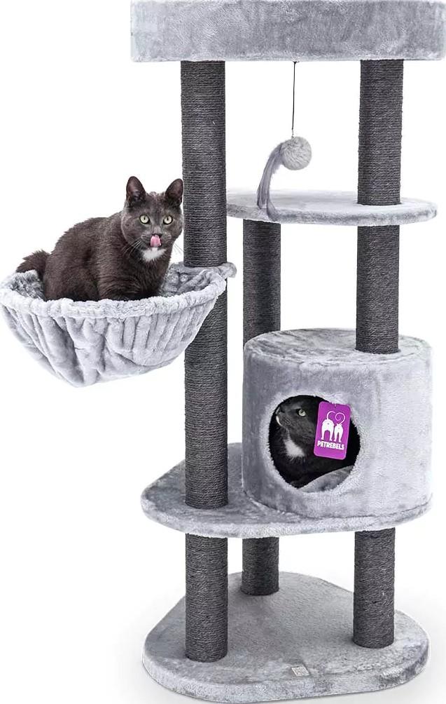 Ansamblu pentru pisici PETREBELS Kings&Queens Charlotte 134 Grey