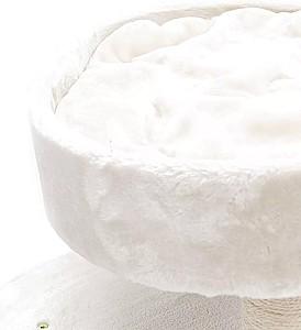 Ansamblu pentru pisici PETREBELS Kings&Queens Charlotte 134 Cream