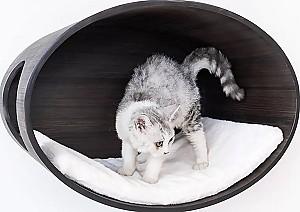 Pat pentru pisica PETREBELS Oval Office 60 Wenge