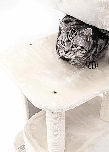 Ansamblu pentru pisici PETREBELS LITTLE ROCK 99 Cream