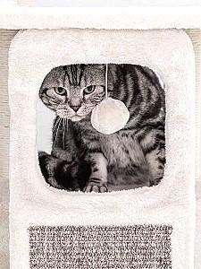 Ansamblu pentru pisici PETREBELS LITTLE ROCK 99 Cream