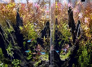 Acvariu Aquael OPTIBENT Set 20 negru