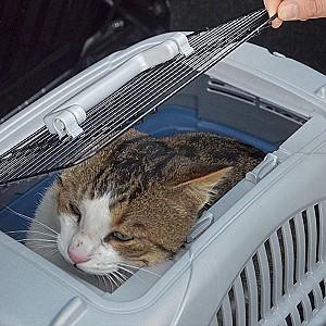 Transportator de pisici Ferplast ATLAS DELUXE 10 OPEN Blue