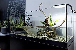 Acvariu Aquael AQUATERRARIUM 80