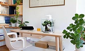 Acvariu Aquael SHRIMP 30 alb