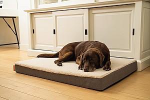 Pat pentru caine Beeztees Memoryfoam ZIRA Beige 707306