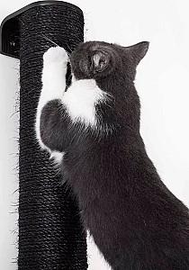 Ansamblu pentru pisici PETREBELS Climb 1560 Wenge