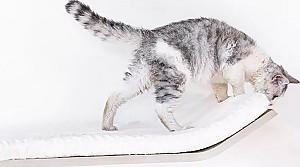 Ansamblu pentru pisici PETREBELS Wave 70 Old Grey