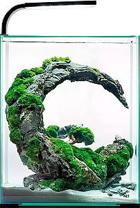 Acvariu Aquael SHRIMP 20 negru