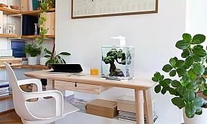 Acvariu Aquael SHRIMP 20 alb