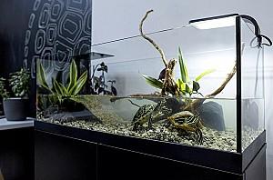Acvariu Aquael AQUATERRARIUM 60