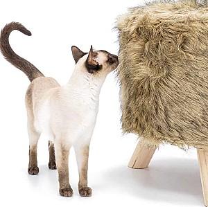 Pat pentru pisica PETREBELS Kings&Queens Victoria 45 Brown