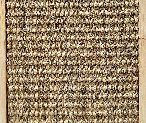 Ansamblu pentru pisici Beeztees CACTUS OZE